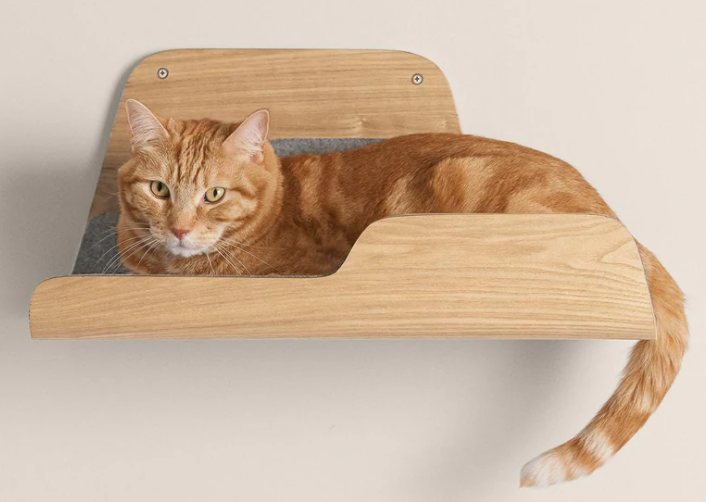 The 10 Best Cat Wall Shelves of 2022 Best Cat Review